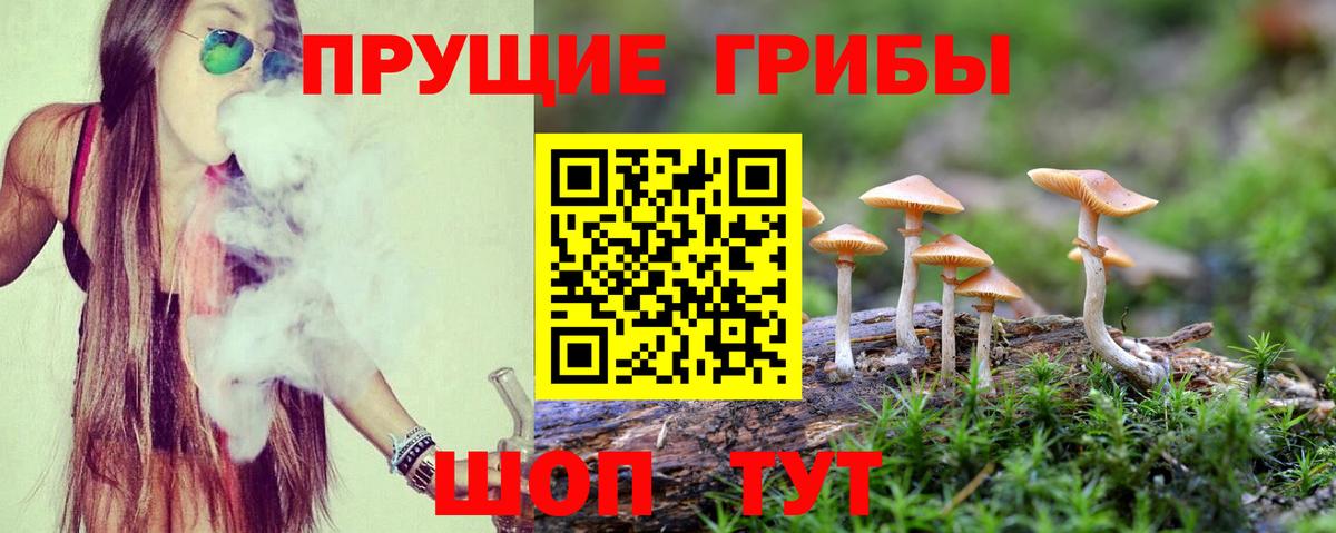 Псилоцибиновые грибы MAGIC MUSHROOMS Шахты